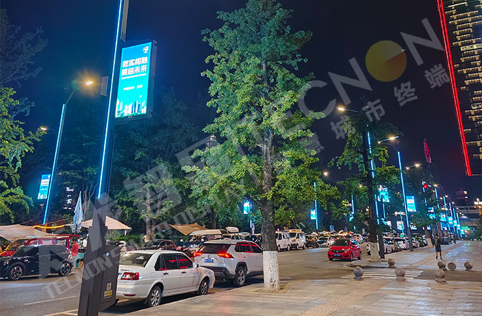 LED灯杆屏 LED灯杆屏